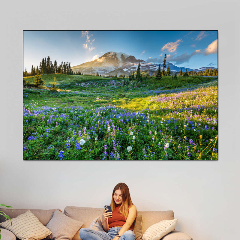 Springtime At Mount Rainier Wall Art