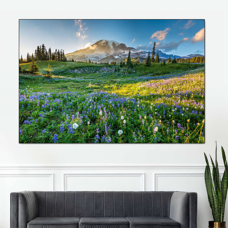 Springtime At Mount Rainier Wall Art