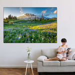 Springtime At Mount Rainier Wall Art