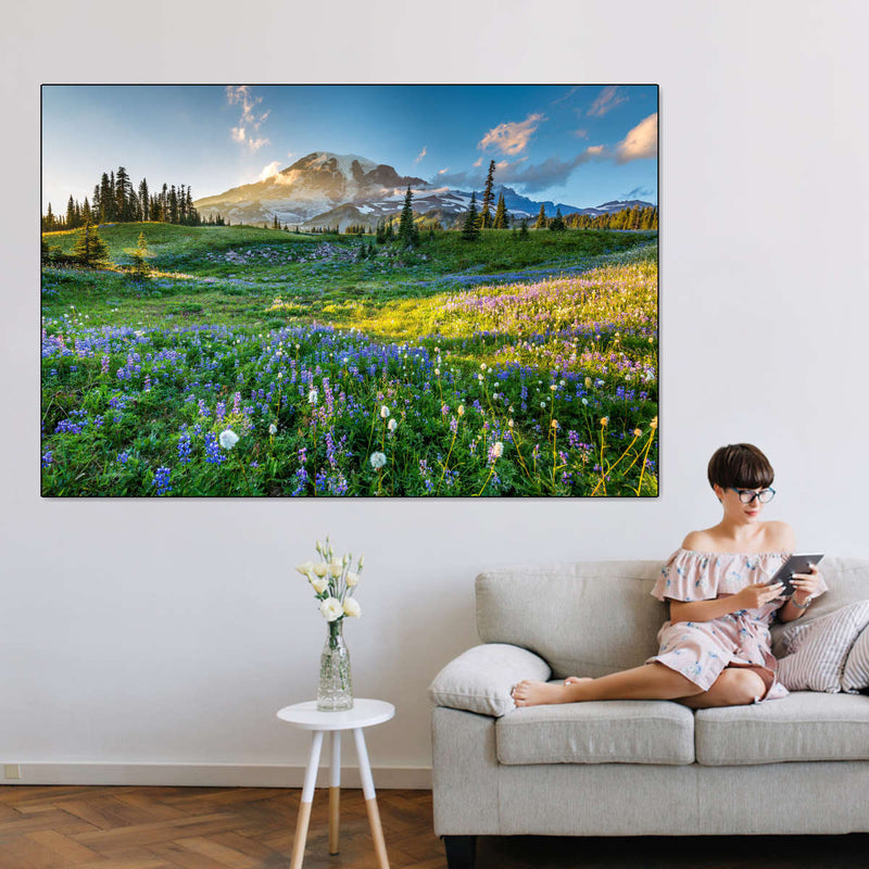Springtime At Mount Rainier Wall Art
