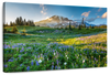 Springtime At Mount Rainier Wall Art