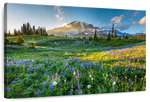 Springtime At Mount Rainier Wall Art