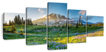 Springtime At Mount Rainier Wall Art