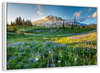 Springtime At Mount Rainier Wall Art