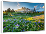 Springtime At Mount Rainier Wall Art
