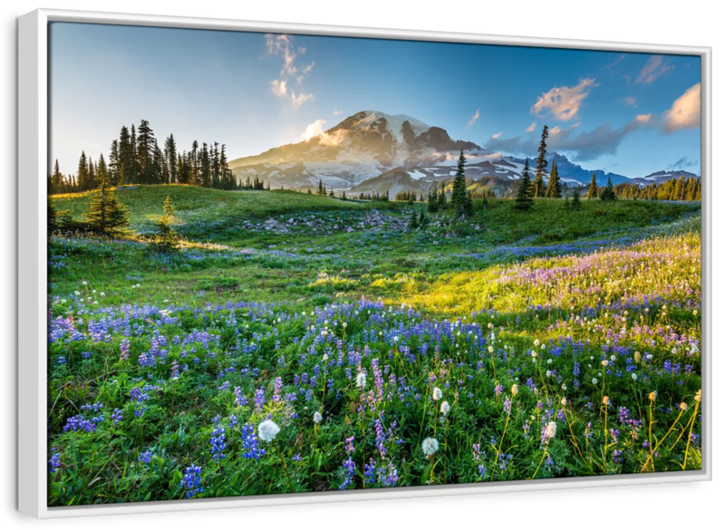 Springtime At Mount Rainier Wall Art