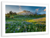 Springtime At Mount Rainier Wall Art