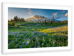 Springtime At Mount Rainier Wall Art
