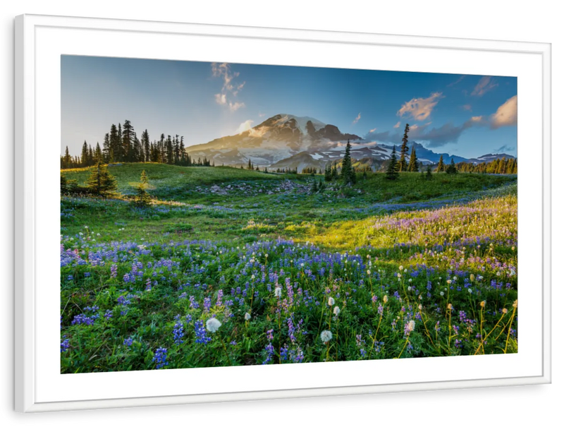 Springtime At Mount Rainier Wall Art