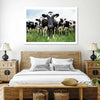 Holstein Cows Wall Art