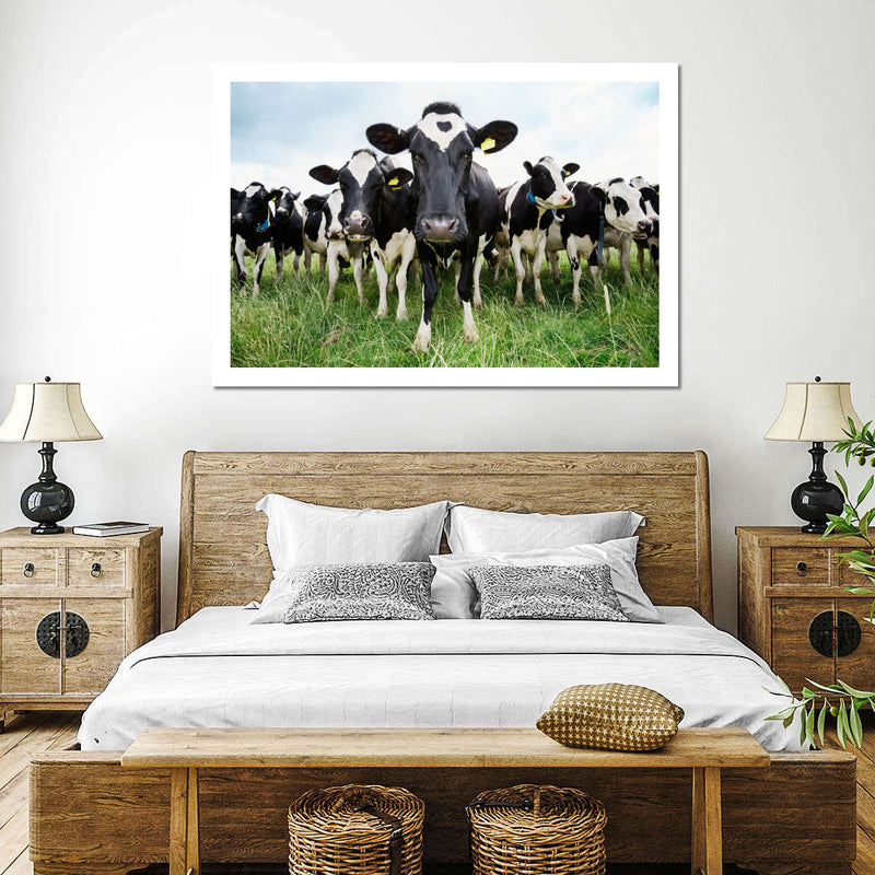 Holstein Cows Wall Art