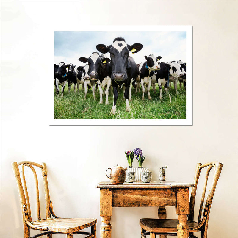 Holstein Cows Wall Art