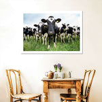 Holstein Cows Wall Art