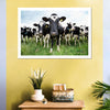 Holstein Cows Wall Art