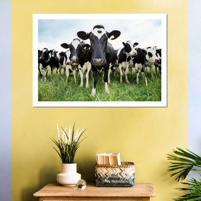 Holstein Cows Wall Art