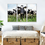 Holstein Cows Wall Art