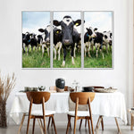 Holstein Cows Wall Art