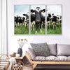 Holstein Cows Wall Art