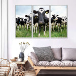 Holstein Cows Wall Art