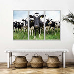 Holstein Cows Wall Art