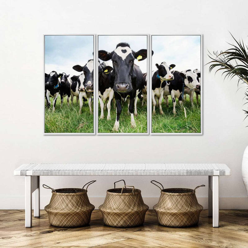 Holstein Cows Wall Art