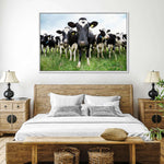 Holstein Cows Wall Art