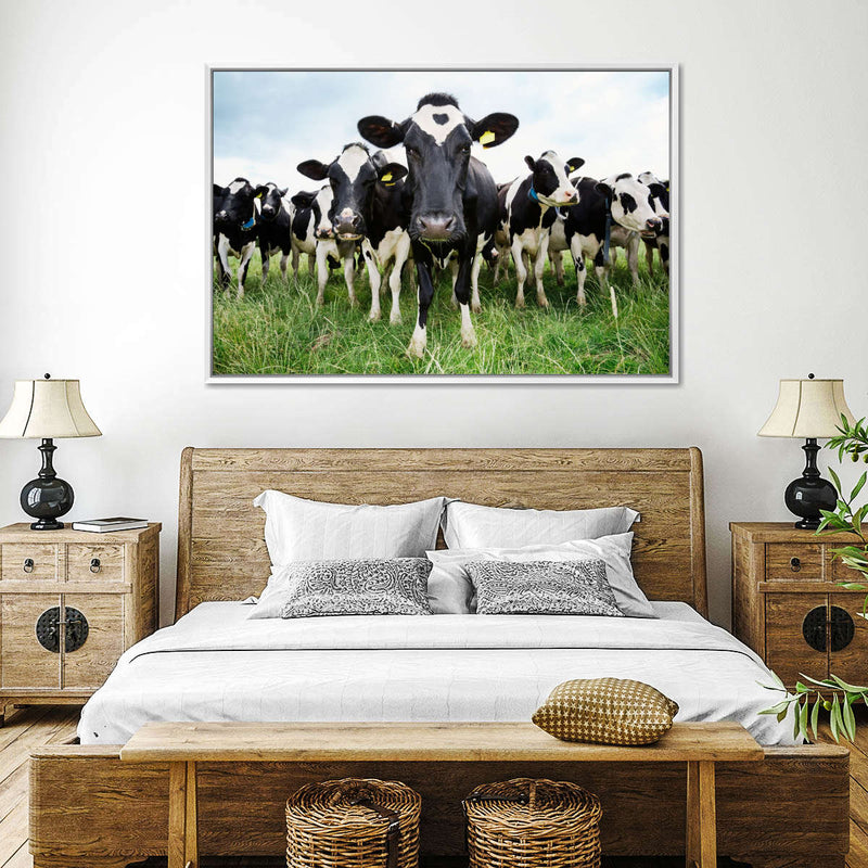 Holstein Cows Wall Art