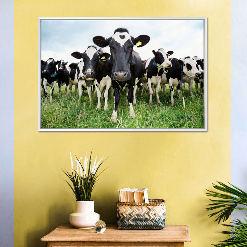 Holstein Cows Wall Art