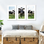 Holstein Cows Wall Art