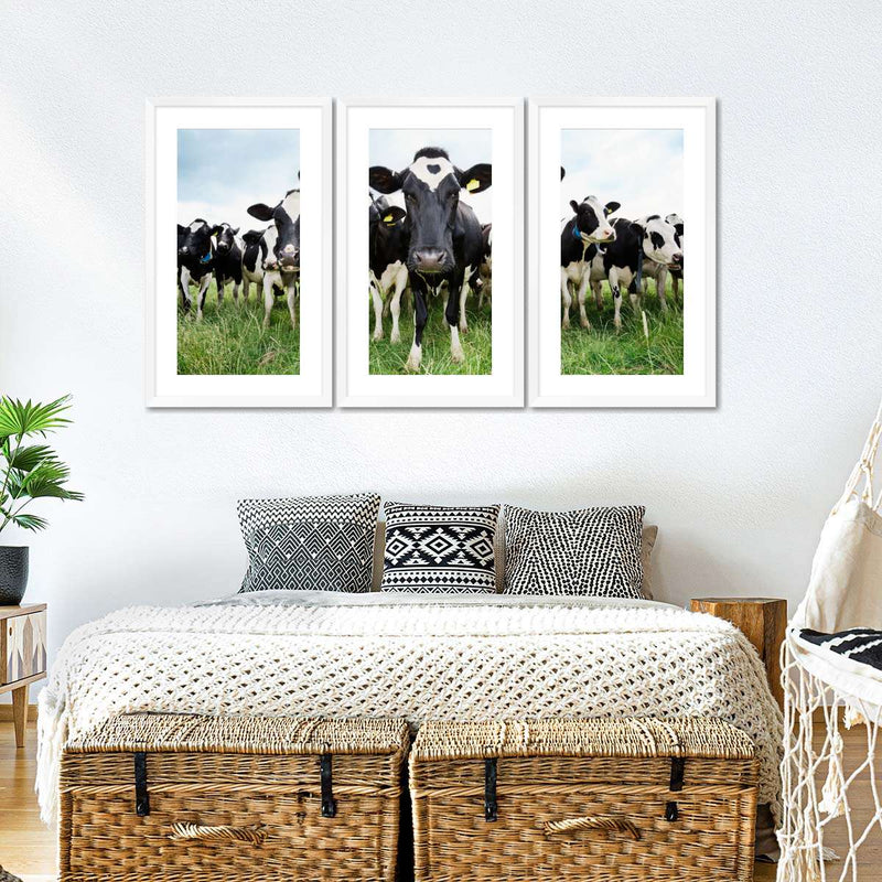 Holstein Cows Wall Art
