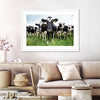 Holstein Cows Wall Art