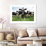 Holstein Cows Wall Art