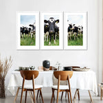 Holstein Cows Wall Art