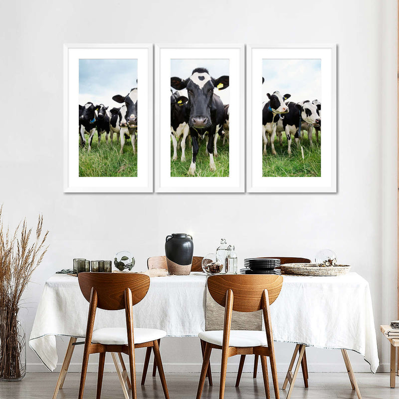 Holstein Cows Wall Art