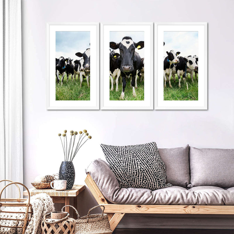Holstein Cows Wall Art