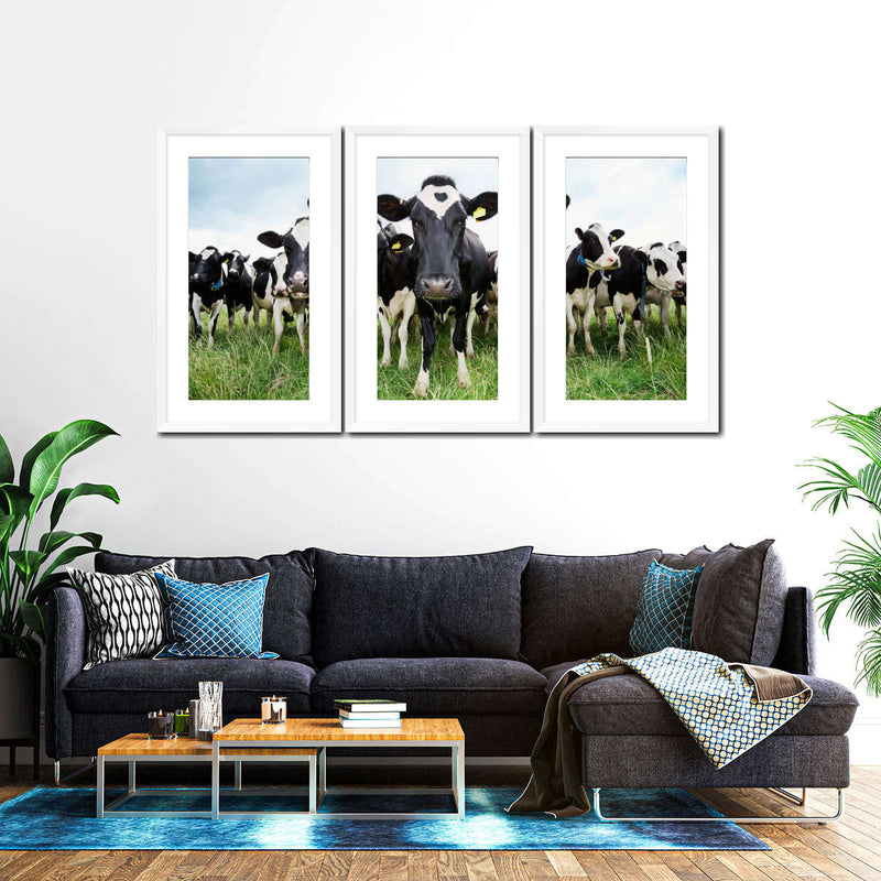 Holstein Cows Wall Art