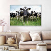 Holstein Cows Wall Art