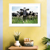 Holstein Cows Wall Art