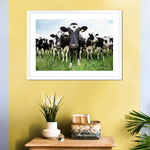 Holstein Cows Wall Art