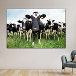 Holstein Cows Wall Art