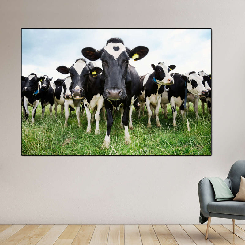 Holstein Cows Wall Art
