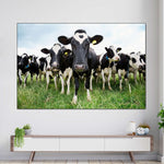 Holstein Cows Wall Art