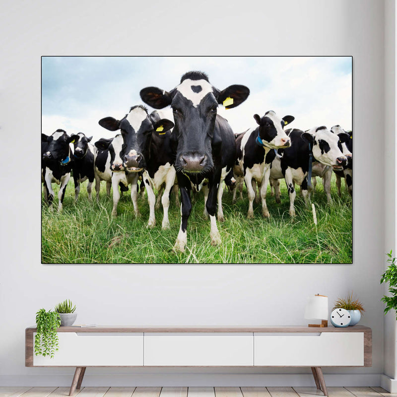 Holstein Cows Wall Art