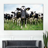 Holstein Cows Wall Art