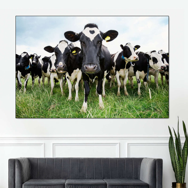 Holstein Cows Wall Art
