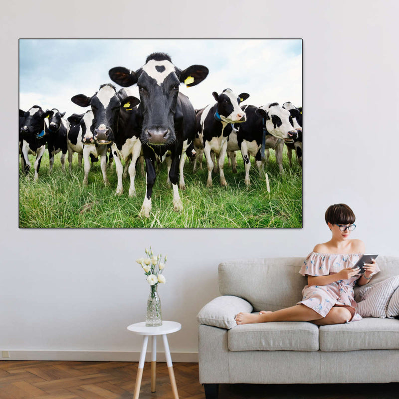Holstein Cows Wall Art