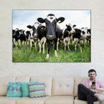 Holstein Cows Wall Art