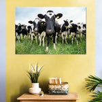 Holstein Cows Wall Art