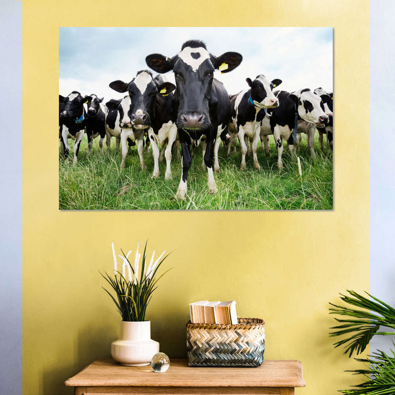 Holstein Cows Wall Art