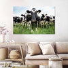 Holstein Cows Wall Art